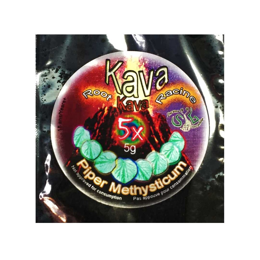 Racines de Kava - Piper Methysticum - Extrait 5x - 5g