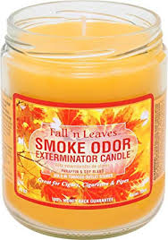 Bougie exterminatrice d'odeur de fumée - 13 oz - Feuilles tombées