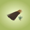 Sage Incense 100 Sticks Pack from Natural Scents