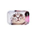 Crazy Cat Metal Rolling Tray by Pulsar